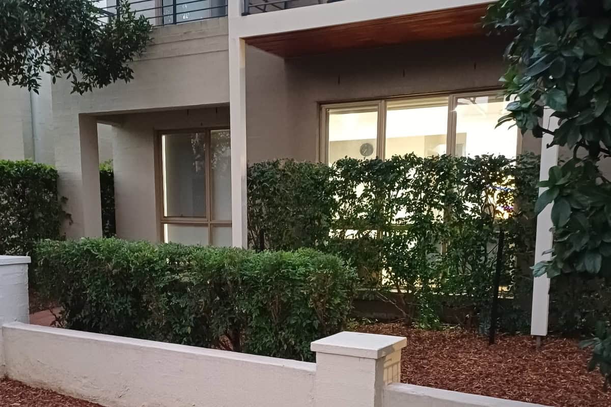 Maintained garden beds and hedges at a residential property in Stanhope Gardens