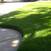 lawn mowing and edging lawn mowing and edging